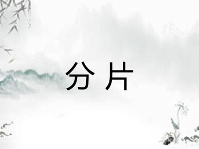 分片