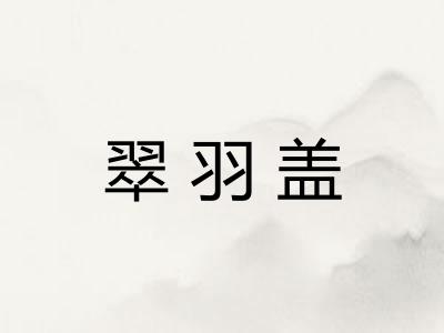 翠羽盖