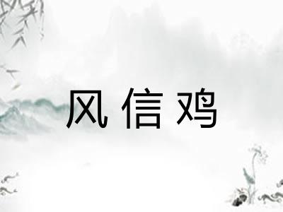 风信鸡