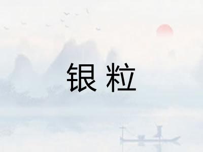 银粒
