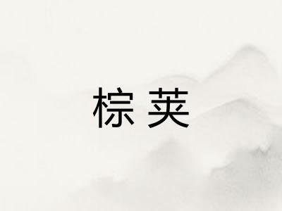 棕荚