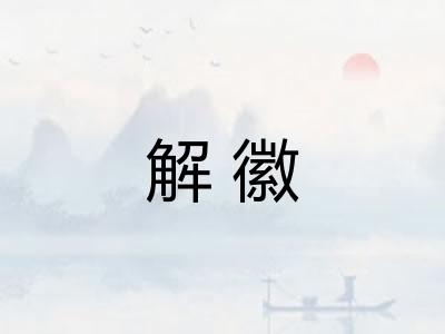 解徽