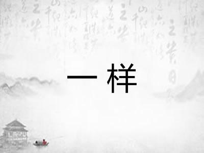 一样
