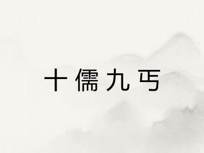 十儒九丐