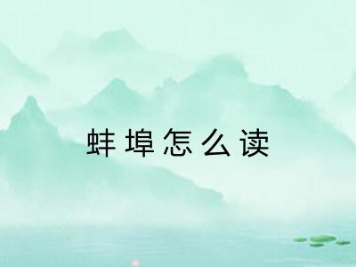 蚌埠怎么读