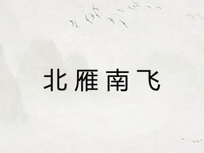 北雁南飞