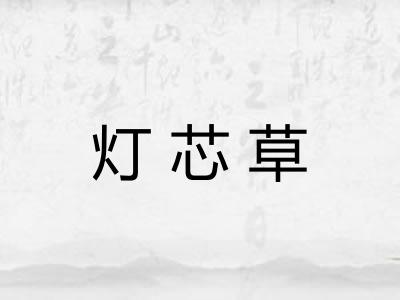 灯芯草