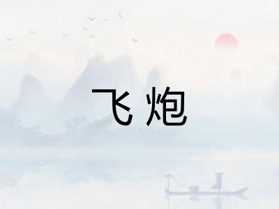 飞炮