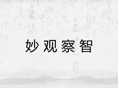 妙观察智