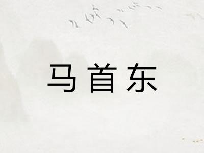 马首东