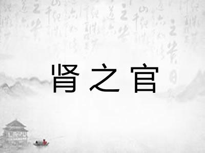 肾之官