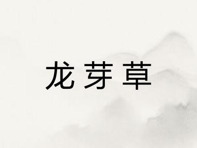 龙芽草
