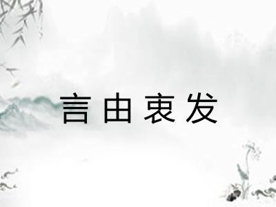 言由衷发