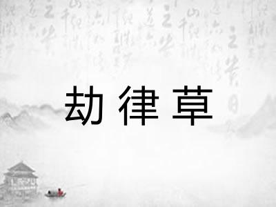劫律草
