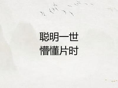 聪明一世懵懂片时