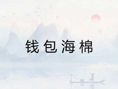 钱包海棉