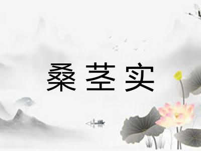 桑茎实