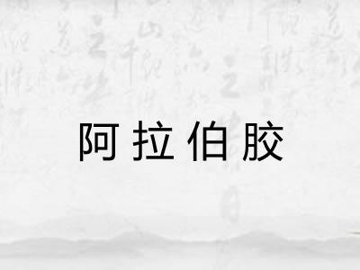 阿拉伯胶