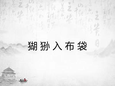 猢狲入布袋