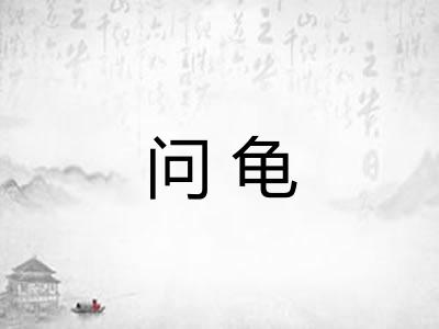 问龟