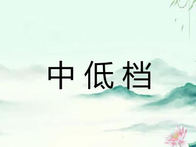 中低档