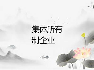 集体所有制企业