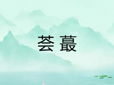 荟蕞