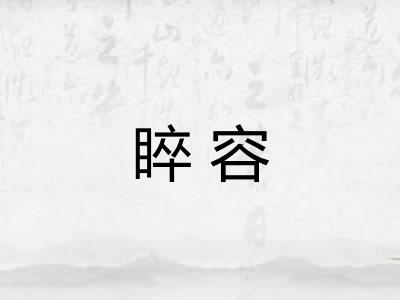 睟容