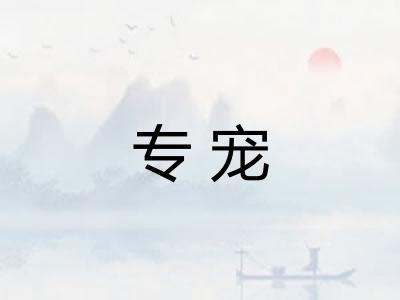 专宠