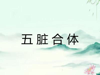 五脏合体