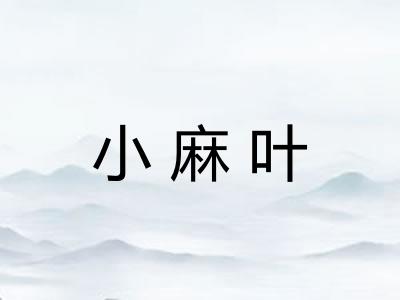 小麻叶