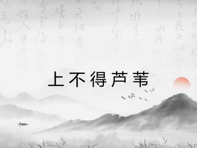 上不得芦苇