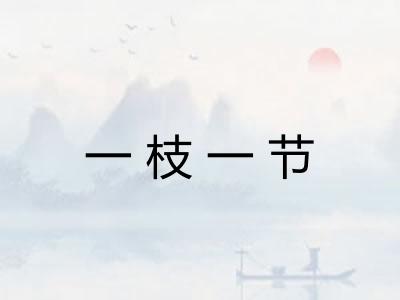 一枝一节