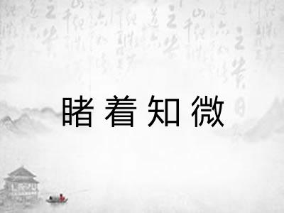 睹着知微