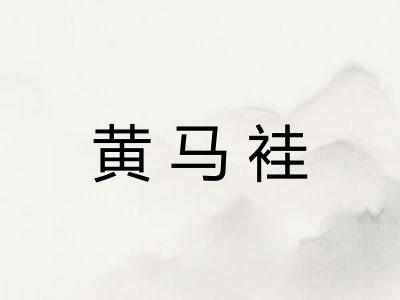 黄马袿