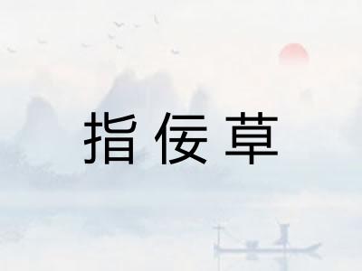 指佞草