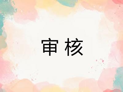 审核