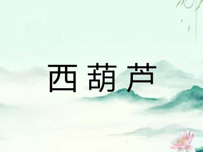 西葫芦