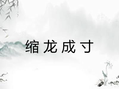 缩龙成寸