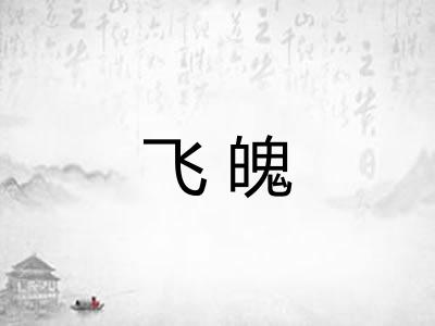 飞魄