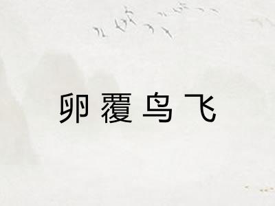 卵覆鸟飞