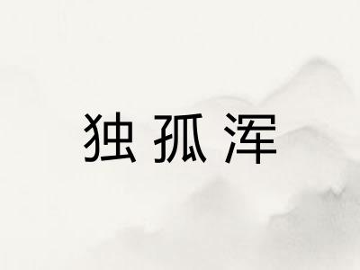 独孤浑