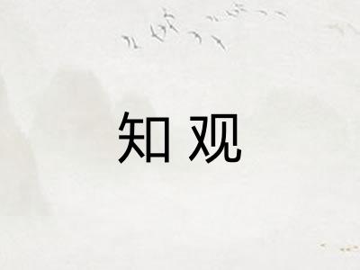 知观