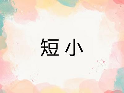 短小