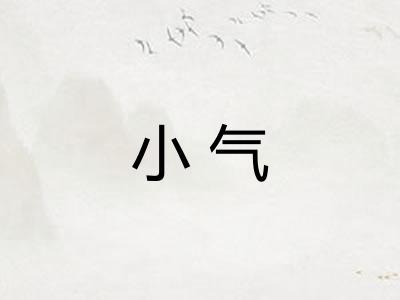小气