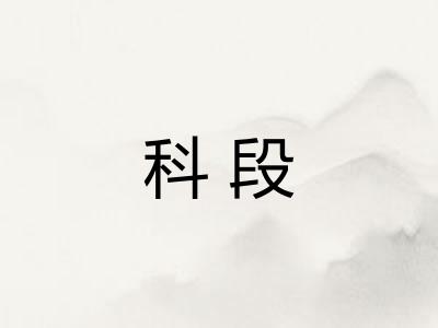 科段