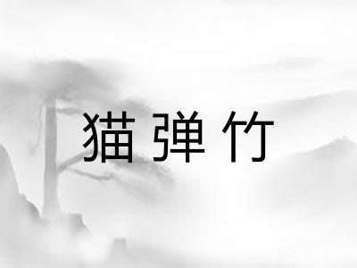 猫弹竹