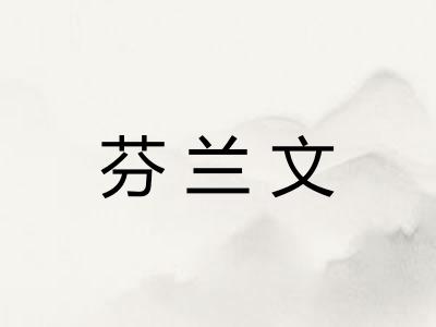 芬兰文