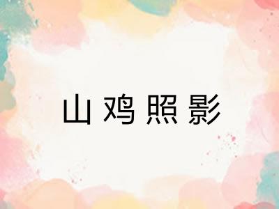 山鸡照影