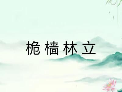 桅樯林立